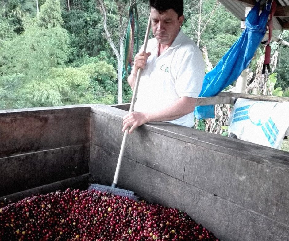 Tucán Espresso - Colombia - Imagen 3