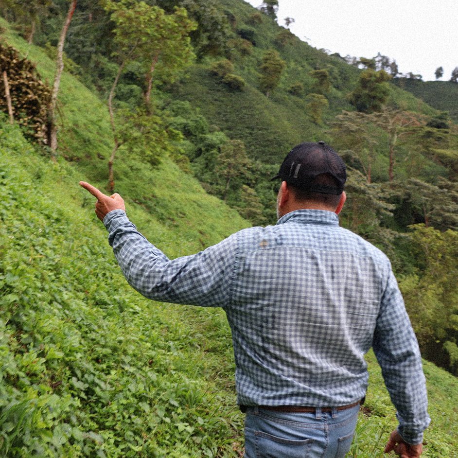 Delfín Rosado - Colombia - Imagen 2