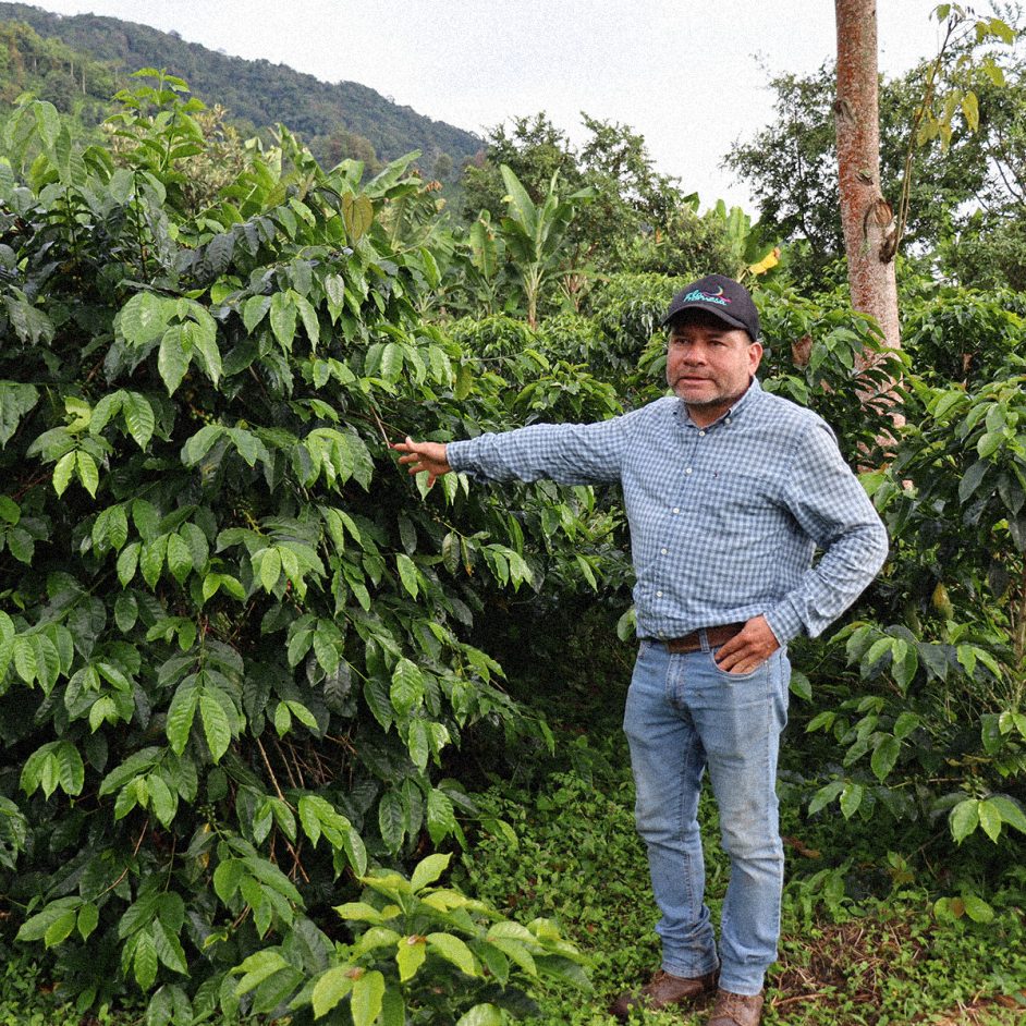 Delfín Rosado - Colombia - Imagen 3