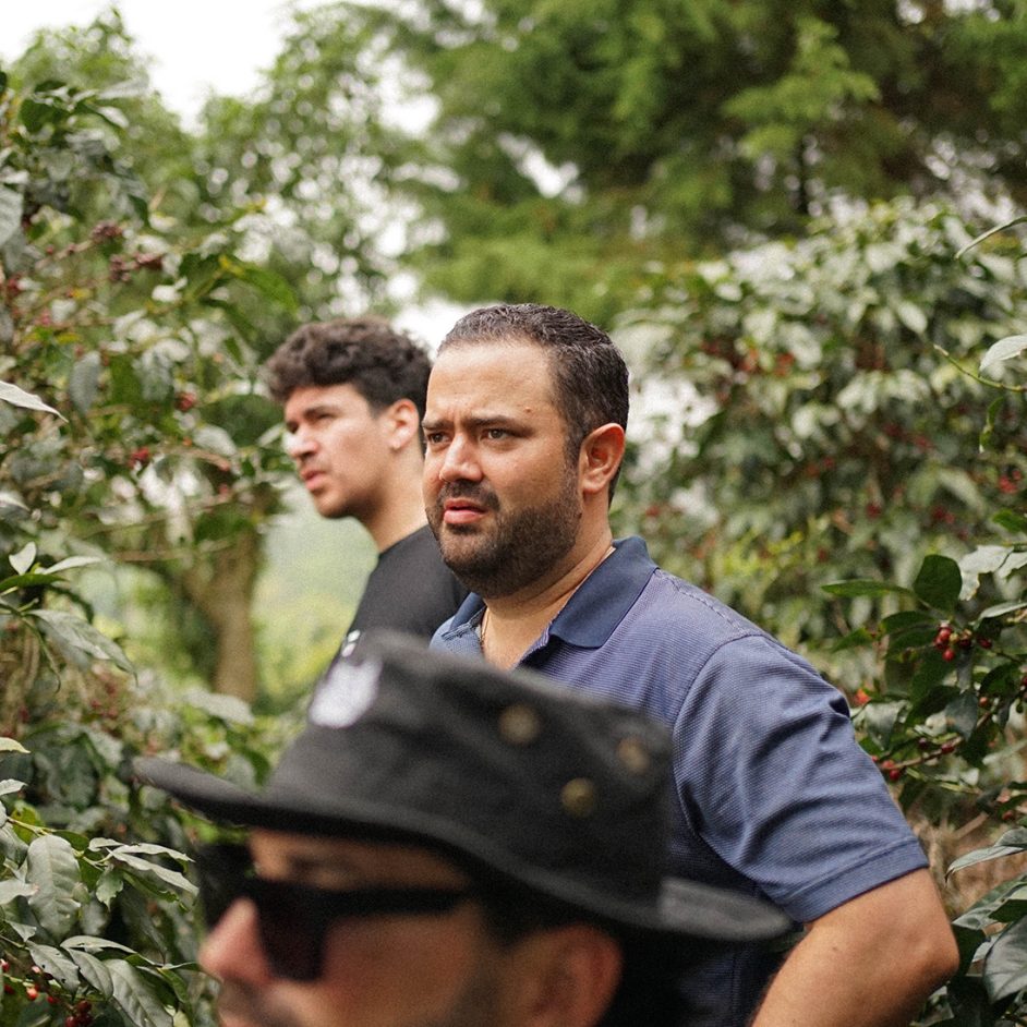 Personas recorriendo una finca de café entre cafetos maduros durante una visita a productores de café de especialidad.