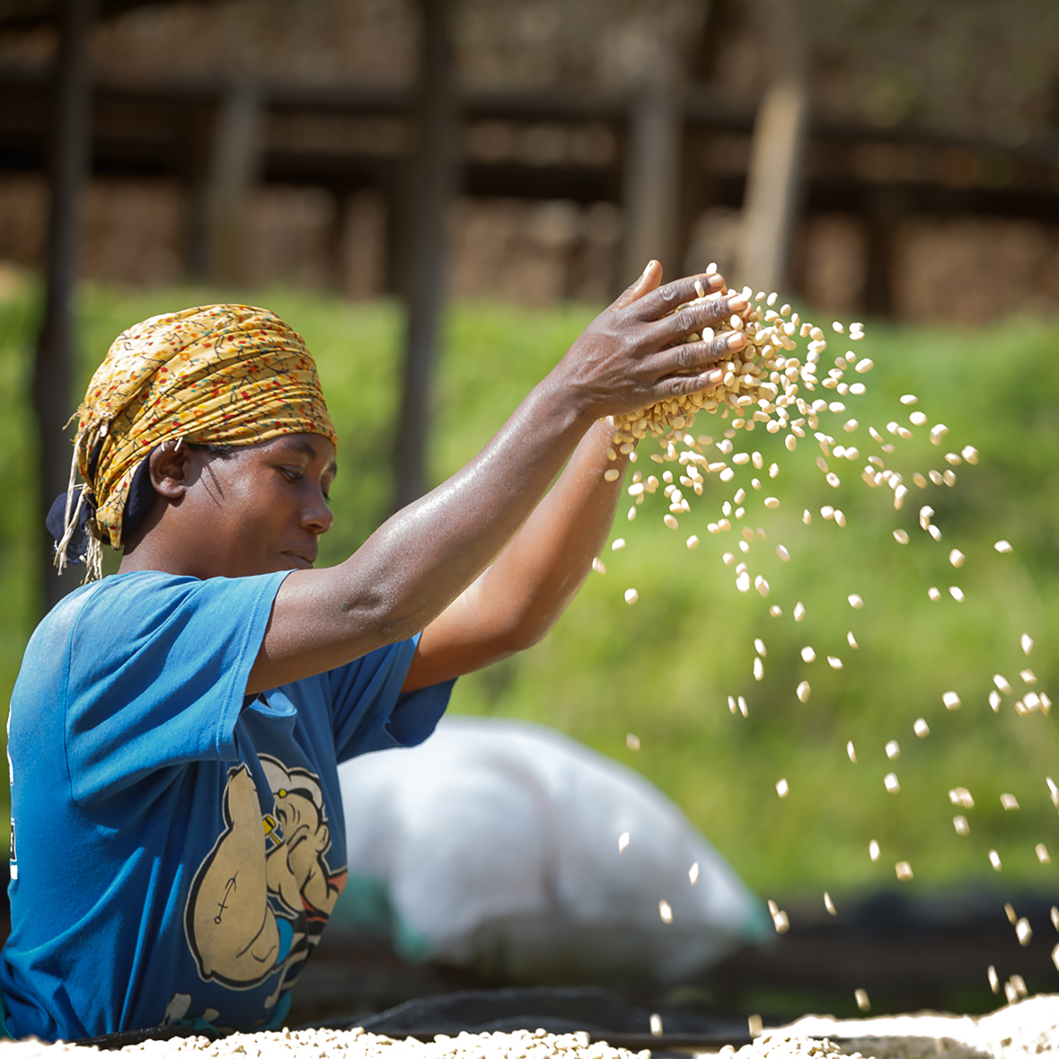 Bundi - Ruanda - Imagen 2