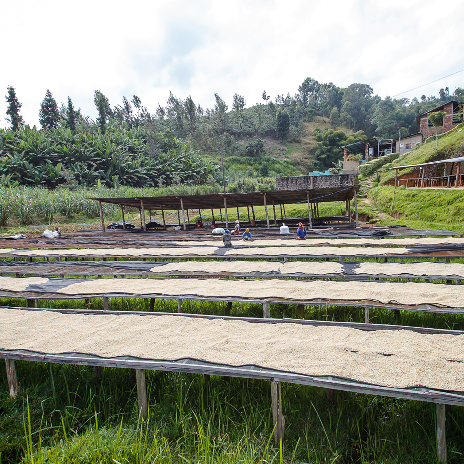 Bundi - Ruanda - Imagen 3