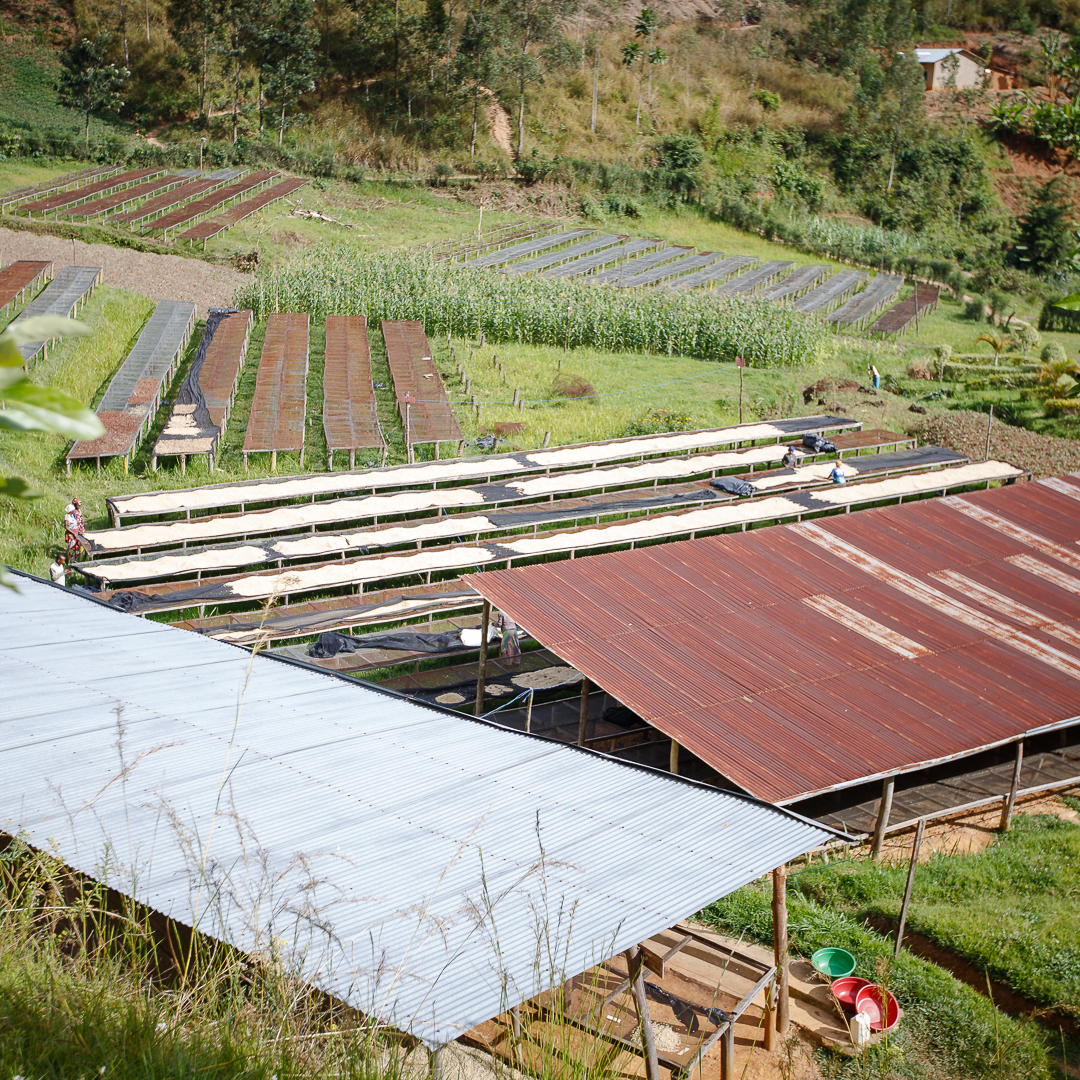 Bundi - Ruanda - Imagen 4