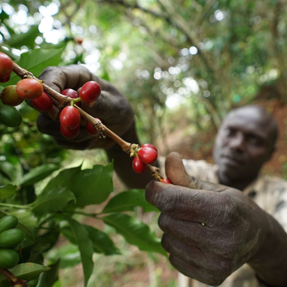 Engwe - Uganda - Imagen 2